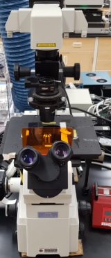 Inverted Microscope